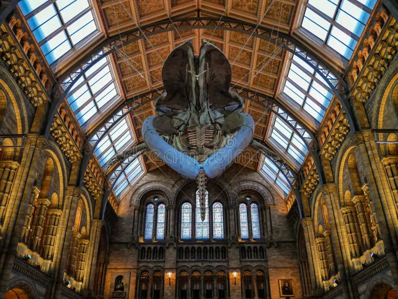 Natural History Museum